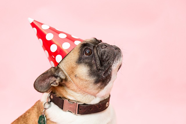 Understanding Dogs' Emotions During Heartworm Treatment